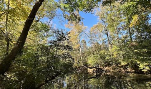 Photo #30 of SOLD property in Off Silvertown Road, Enfield, NC 75.0 acres