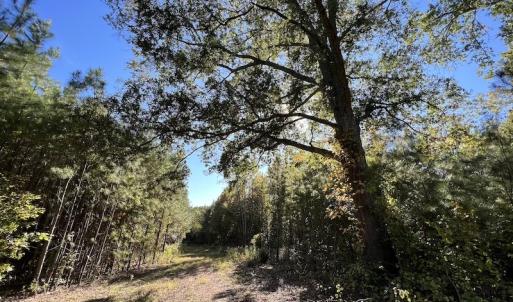 Photo #33 of SOLD property in Off Silvertown Road, Enfield, NC 75.0 acres