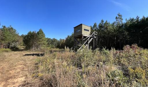 Photo #35 of SOLD property in Off Silvertown Road, Enfield, NC 75.0 acres
