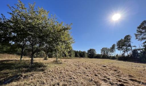 Photo #37 of SOLD property in Off Silvertown Road, Enfield, NC 75.0 acres