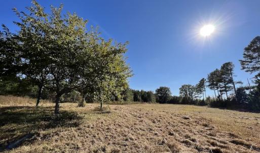 Photo #37 of Off Silvertown Road, Enfield, NC 75.0 acres