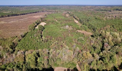 Photo #3 of SOLD property in Off Silvertown Road, Enfield, NC 75.0 acres