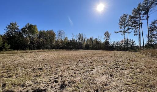 Photo #40 of SOLD property in Off Silvertown Road, Enfield, NC 75.0 acres
