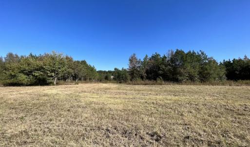 Photo #41 of SOLD property in Off Silvertown Road, Enfield, NC 75.0 acres