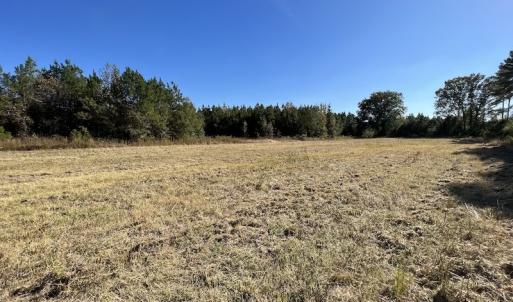 Photo #42 of SOLD property in Off Silvertown Road, Enfield, NC 75.0 acres