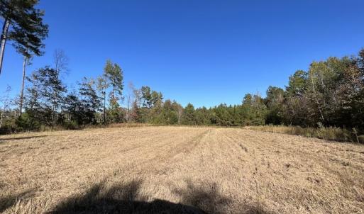 Photo #43 of SOLD property in Off Silvertown Road, Enfield, NC 75.0 acres