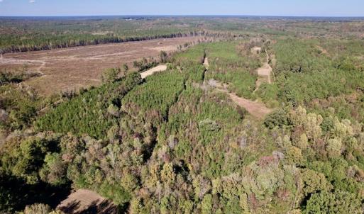 Photo #4 of SOLD property in Off Silvertown Road, Enfield, NC 75.0 acres