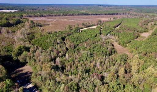 Photo #5 of SOLD property in Off Silvertown Road, Enfield, NC 75.0 acres