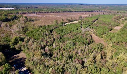 Photo #5 of Off Silvertown Road, Enfield, NC 75.0 acres