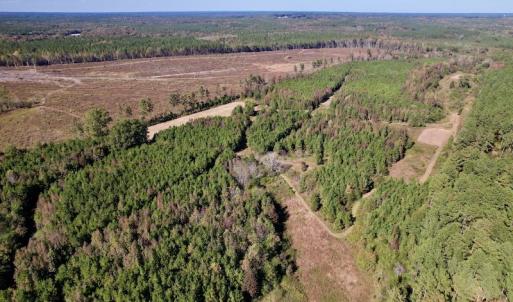 Photo #6 of SOLD property in Off Silvertown Road, Enfield, NC 75.0 acres