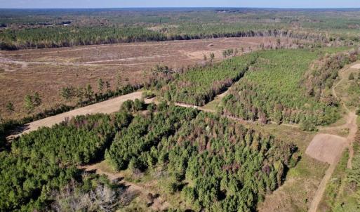 Photo #7 of SOLD property in Off Silvertown Road, Enfield, NC 75.0 acres