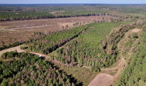 Photo #8 of SOLD property in Off Silvertown Road, Enfield, NC 75.0 acres