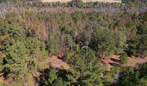 Photo #2 of SOLD property in Off Richland Drive, Pembroke, NC 3.5 acres