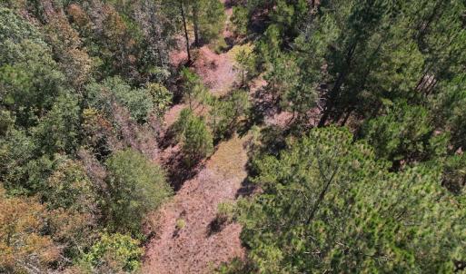 Photo #11 of SOLD property in Off Richland Drive, Pembroke, NC 3.5 acres
