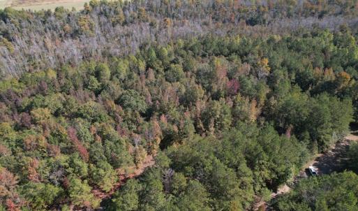 Photo #13 of SOLD property in Off Richland Drive, Pembroke, NC 3.5 acres