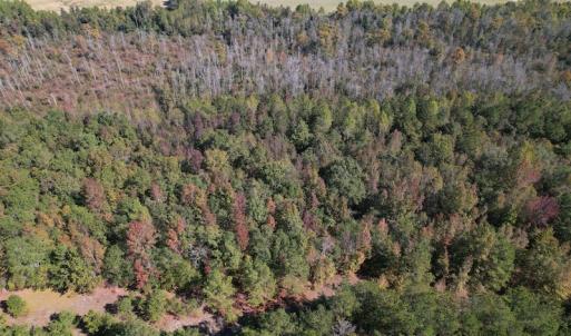 Photo #14 of SOLD property in Off Richland Drive, Pembroke, NC 3.5 acres