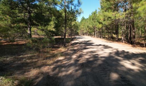 Photo #16 of SOLD property in Off Richland Drive, Pembroke, NC 3.5 acres