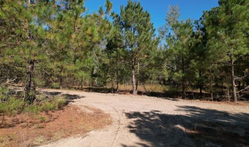 Photo #17 of SOLD property in Off Richland Drive, Pembroke, NC 3.5 acres