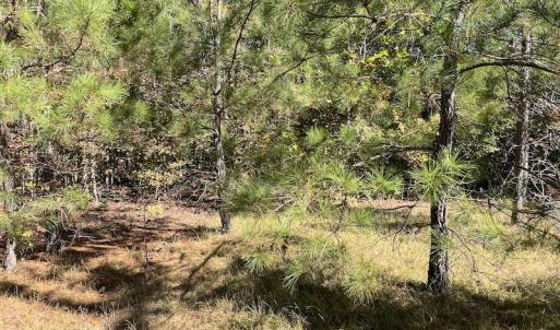 Photo #18 of SOLD property in Off Richland Drive, Pembroke, NC 3.5 acres