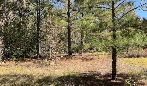Photo #19 of SOLD property in Off Richland Drive, Pembroke, NC 3.5 acres