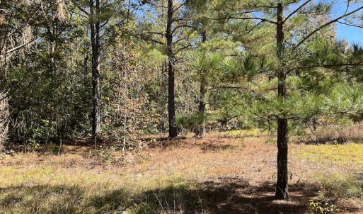 Photo #19 of SOLD property in Off Richland Drive, Pembroke, NC 3.5 acres