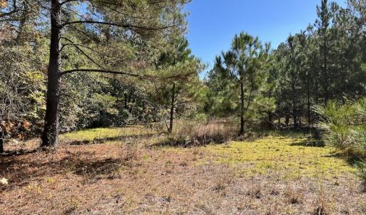 Photo #20 of SOLD property in Off Richland Drive, Pembroke, NC 3.5 acres