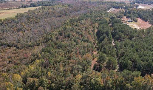 Photo #3 of SOLD property in Off Richland Drive, Pembroke, NC 3.5 acres