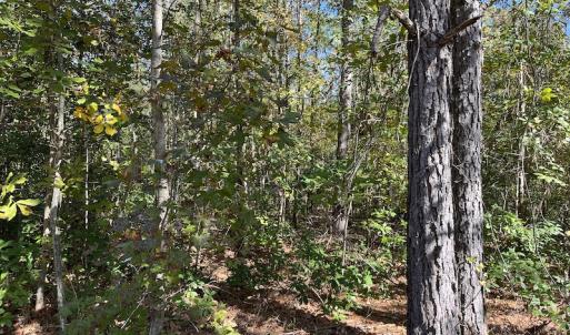 Photo #21 of SOLD property in Off Richland Drive, Pembroke, NC 3.5 acres