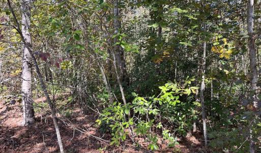 Photo #22 of SOLD property in Off Richland Drive, Pembroke, NC 3.5 acres