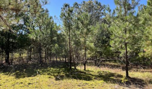 Photo #23 of SOLD property in Off Richland Drive, Pembroke, NC 3.5 acres