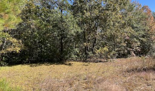 Photo #25 of SOLD property in Off Richland Drive, Pembroke, NC 3.5 acres