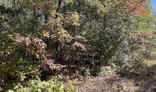 Photo #26 of SOLD property in Off Richland Drive, Pembroke, NC 3.5 acres