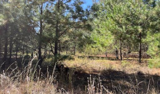 Photo #28 of SOLD property in Off Richland Drive, Pembroke, NC 3.5 acres