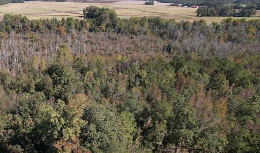 Photo #4 of SOLD property in Off Richland Drive, Pembroke, NC 3.5 acres