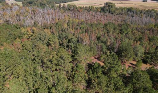 Photo #5 of SOLD property in Off Richland Drive, Pembroke, NC 3.5 acres