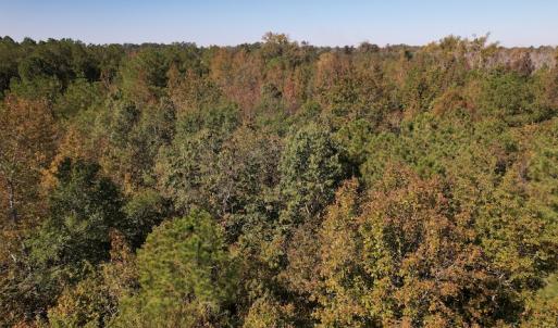 Photo #7 of SOLD property in Off Richland Drive, Pembroke, NC 3.5 acres