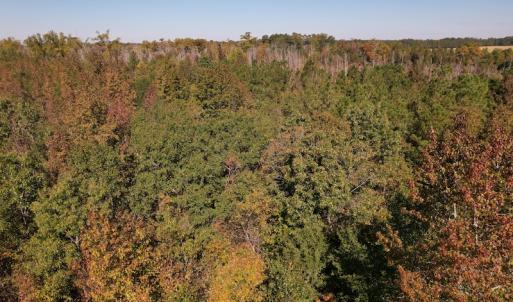 Photo #9 of SOLD property in Off Richland Drive, Pembroke, NC 3.5 acres