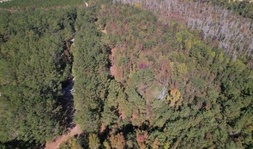 Photo #2 of SOLD property in Off Richland Drive, Pembroke, NC 10.4 acres