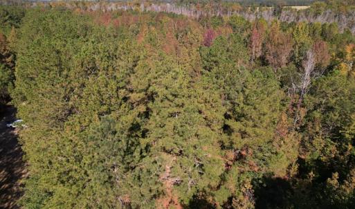 Photo #11 of SOLD property in Off Richland Drive, Pembroke, NC 10.4 acres