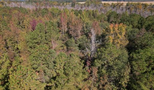 Photo #13 of SOLD property in Off Richland Drive, Pembroke, NC 10.4 acres