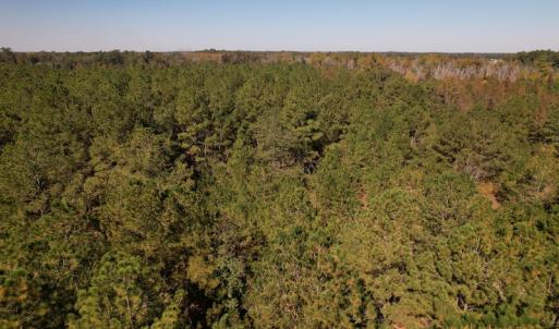 Photo #14 of SOLD property in Off Richland Drive, Pembroke, NC 10.4 acres