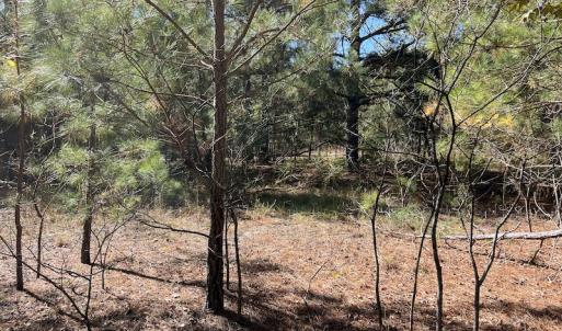 Photo #16 of SOLD property in Off Richland Drive, Pembroke, NC 10.4 acres