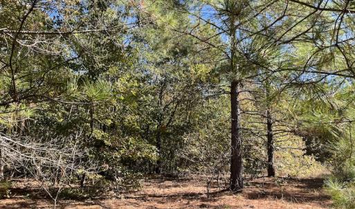 Photo #18 of SOLD property in Off Richland Drive, Pembroke, NC 10.4 acres