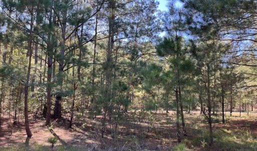 Photo #19 of SOLD property in Off Richland Drive, Pembroke, NC 10.4 acres