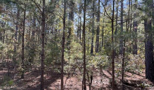 Photo #20 of SOLD property in Off Richland Drive, Pembroke, NC 10.4 acres