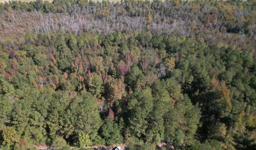 Photo #3 of SOLD property in Off Richland Drive, Pembroke, NC 10.4 acres