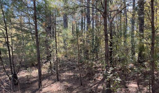 Photo #21 of SOLD property in Off Richland Drive, Pembroke, NC 10.4 acres