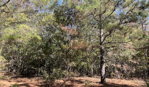 Photo #22 of SOLD property in Off Richland Drive, Pembroke, NC 10.4 acres