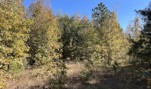 Photo #23 of SOLD property in Off Richland Drive, Pembroke, NC 10.4 acres