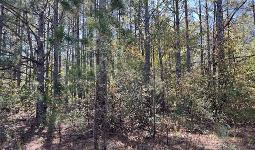 Photo #24 of SOLD property in Off Richland Drive, Pembroke, NC 10.4 acres
